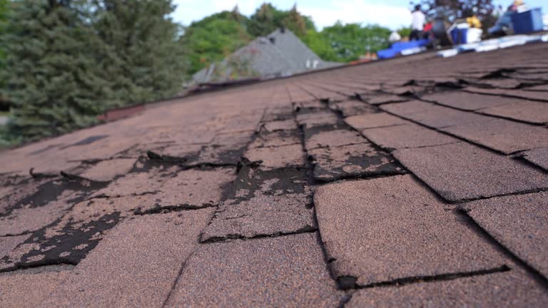 Best Flat Roofing  in Highland Acres, DE