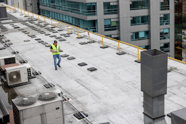 Best Sheet Metal Roofing  in Highland Acres, DE